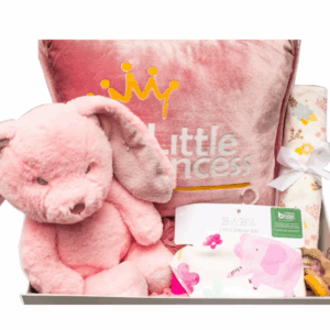 Baby Girl Gift Set
