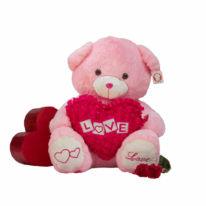 Love Pink Teddy Bear
